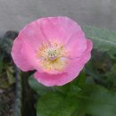 깍쟁이미용실 이미지