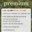 모어스