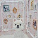 해피오브트리밍 이미지