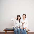 하울그라피 네이버블로그