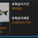 영목수산좌대 이미지