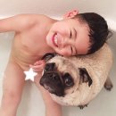 꼬마 강아지 이미지