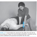 peripheral joint mobilization - 반드시 이해해야 하는 관절가동법의 생리학 - 대박정리!! 이미지