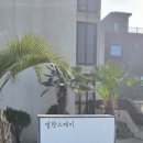 멀왓스테이 이미지