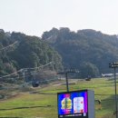 기명목장 네이버블로그