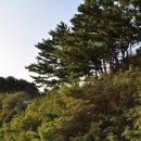 모아모텔 이미지