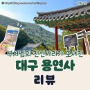 용못 | 대구 용연사 주말 드라이브 후기 아이랑 주차장 가까운 절 극락전