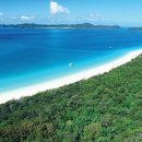 화이트 헤븐 이미지