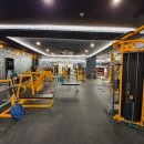 뉴온리짐 이미지