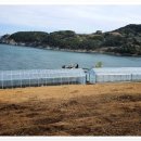 고령홈픽스 이미지