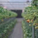 구자농장 이미지