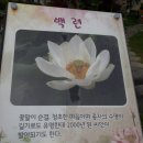 함안(순천방향)휴게소 이미지