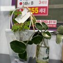 ● 부지런한 공인중개사 일상 [법무사 합격 기념 플랜카드 제작/ 부동산 사무실 청소 일상]