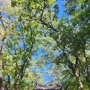 가을날 역사여행 이미지