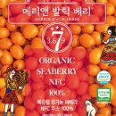 슈퍼베리 | 발틱베리 피부 활력 디톡스 효능 슈퍼베리 후기