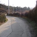 소월1리 이미지