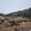 평창메밀막국수 - 제주시 은수길 6-9 | 평창메밀막국수