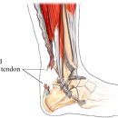 입암경희한의원 이미지