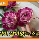 카테리나