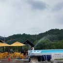 럭셔리애견샵 | 여름 가평 애견동반 캠핑장 추천, 너의 아지트가 되어...박스 6번 쾌적한 1박 후기! (ft. 미니 버너 추천)