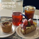 경북 도청 카페 여행 | 에그타르트 스콘 맛집 라이크니스