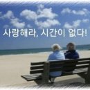 사랑 Daum카페