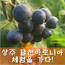 화령농장