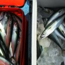 서석목장 이미지