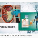 복막가성점액종(Pseudomyxoma Peritonei, PMP)은 어떤 암 인가? 이미지