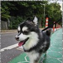 견생유치원 이미지