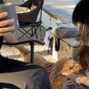 충주 반딧불 오토 캠핑장 이미지