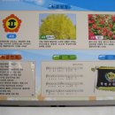 월평초등학교 이미지