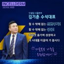 인셀덤힐링
