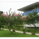 안경박사 이미지