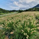 기장군농업기술센터 이미지