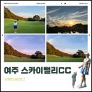 스카이골프장 | 경기도 골프장 스카이밸리CC 퍼블릭 코스 2부 라운드 후기 (내돈내산, 여름운동팁)