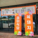 복돼지동산 이미지