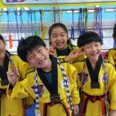 행복한 동행 삼성태권도장 이미지