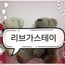 리브가 스테이 이미지