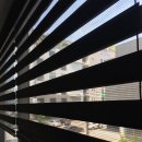 호수당구장 이미지