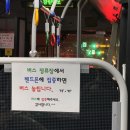 새롬꽃농원 | 이것저것 요것조것 🌳🌿