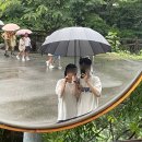 대광펜션 | [밀양/자연풍경펜션] 표충사 근처 자연풍경펜션 럭셔리 글램핑 A 내돈내산 솔직후기