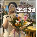 리안블라썸 이미지