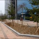 (주)아이센스 이미지