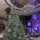 일월초 | 그랜드 머큐어 임피리얼 팰리스 서울 강남ㅣ카페 델마르 하이티 세트ㅣ내돈내산 솔직후기