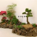 행복리빙 이미지