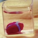 장기약국 이미지