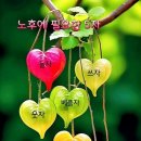 더 느리게 이미지