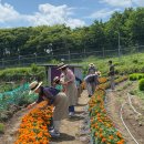 동구치매안심센터 이미지