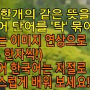 두루약품(주) 이미지